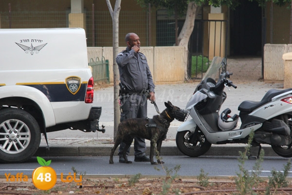 police in yaffa 7ajerz (6).JPG